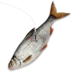 #2 Quantum Mr. Pike Ghost Traces Float Rig White 50cm 1pcs