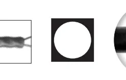 Dragon Titanium Classic Leader 9 Kg 40 Cm 1 Stuk Per Blister