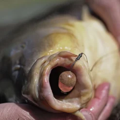 Pole Position Kicker S Tungsten